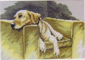 Старый друг-ретривер