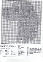 шотландский сеттер