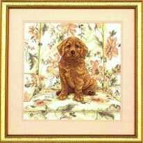 Щенок голдена в кресле