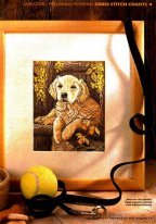 щенок ретривера