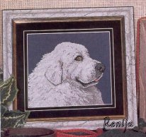 Dog Coll 8 - Great Pyrenees