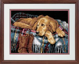 Dimension20005_Loyal_Friend retriver