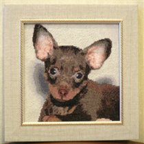 Той-терьер от Zabavava