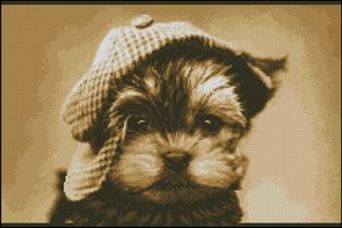 Йорк -проказник