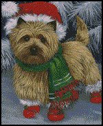 пшеничник новогодний