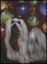 шит-цу новогодний 2