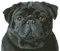 Черный мопс(2)