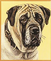 Бульмастиф