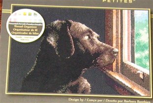 Лабрадор от Дим