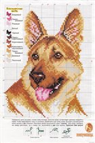 овчарка от искусницы