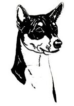 Басенджи (авторская схема)