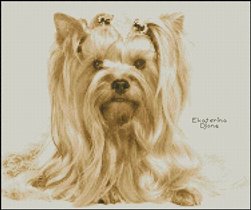 Йорчик (авторская схема)