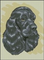 Кокер спаниель (авторская схема)