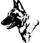 Малинуа (авторская схема)