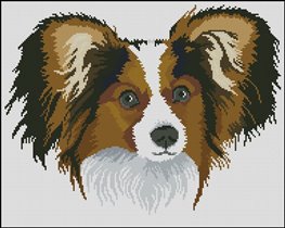 Папильон (авторская схема)