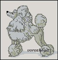 Пудель (авторская схема)