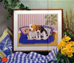 Щенки бигля