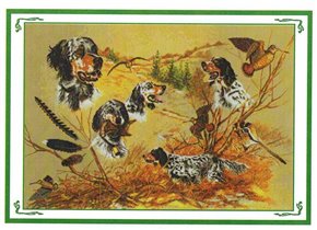 Английский сеттер (коллаж)