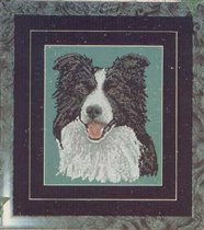 Бордер колли от Pegasus