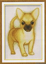 Чихуа (авторская)