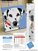 В черно белых тонах