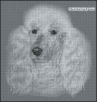 Белый пудель (авторская)