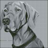 Веймаранер (авторская)