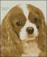 Ковалер кинг чарльз спаниель рыжий (авторская)