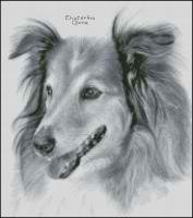 Колли (авторская)