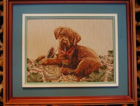 Labrador puppy with a shoe