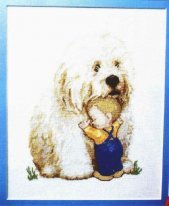 Little boy with big sanbernar