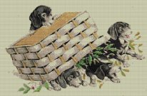 Little dachshunds near the basket