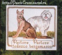 Shepherd dog and white sanbernar