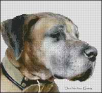 Немецкий дог (авторская)