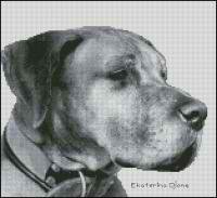 Немецкий дог ч/б (авторская)