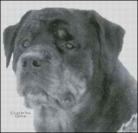 Ротвейлер (авторская)