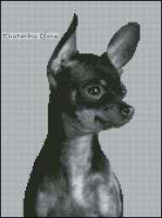 Той терьер гладкошерстный (авторская)