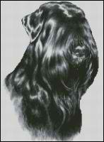 Черныш (авторская)