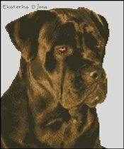 кане корсо (авторская)