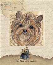Йоркширский терьер(портрет)
