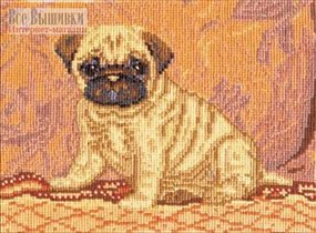 Мопсик на кресле