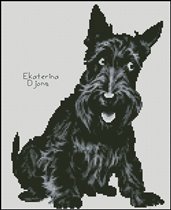 Скотч от Е.Д.