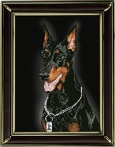 Доберман от КиТ