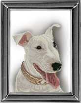 Питбультерьер от КиТ (больше похож на бультерьера)