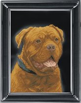 Бордоский дог от КиТ