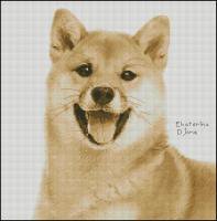 Сиба - ину от Е.Д.