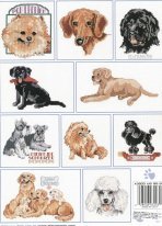 AmericasBestLovedDogs (1)