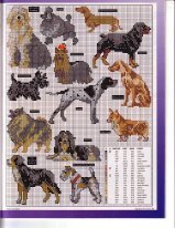 The Design Collection-1