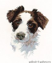 Пес от Heritage