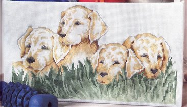 Четыре голдика